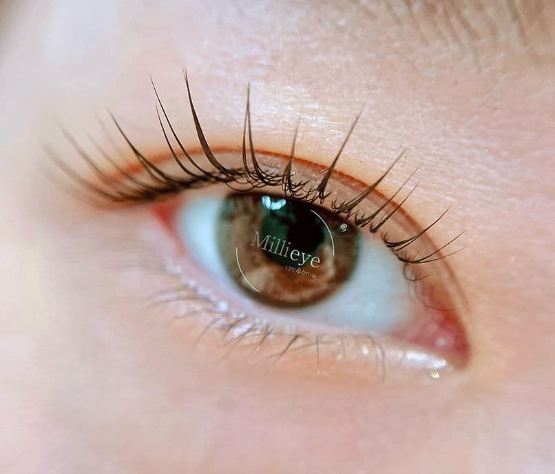Millieye service visual for lash lift