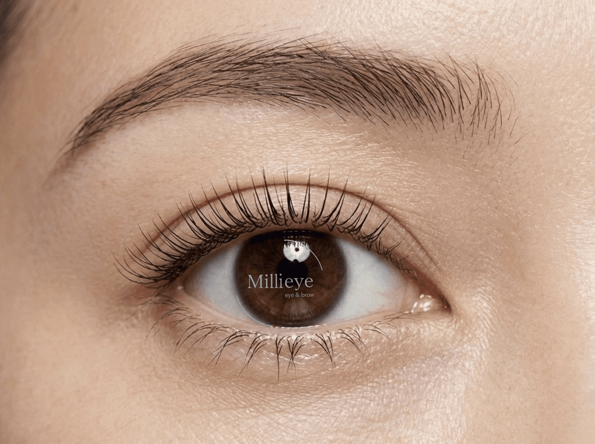 Millieye service visual for brows and lashes